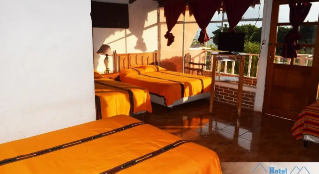 Четырёхместный номер Standard Hotel Playa Linda