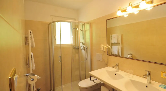 Номер Standard Hotel Mitlechnerhof