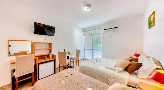 Трёхместный номер Standard HOTEL DANA