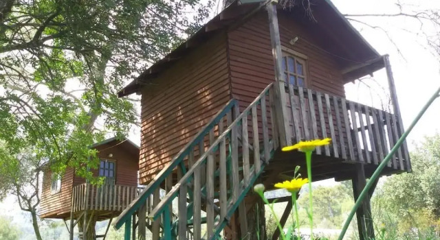Коттедж Olympos Woods - Adults Only