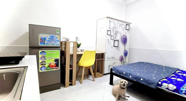 Номер Standard Hv P8