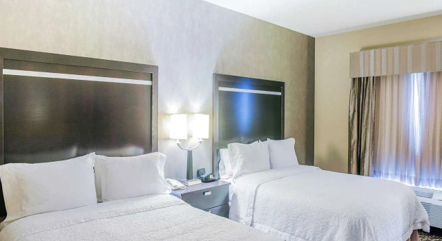 Четырёхместный номер Standard Hampton Inn & Suites Bay City, TX