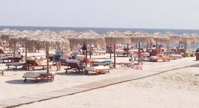 Апартаменты Apartament Summerland Crazy Beach Mamaia