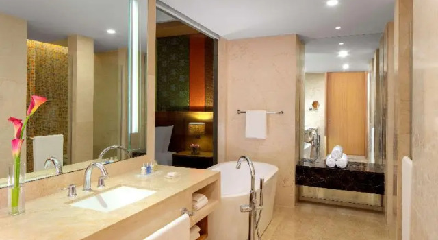 Полулюкс Standard Radisson Blu Hotel Guwahati