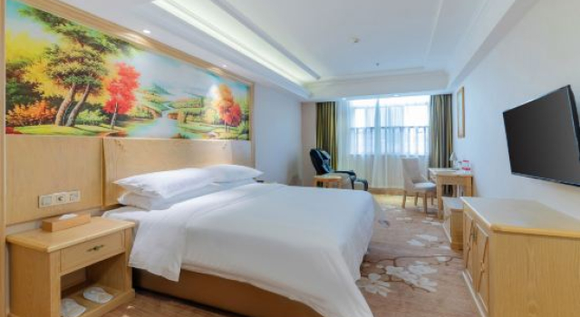 Люкс Deluxe Vienna Hotel (Shaoguan Shiliting)