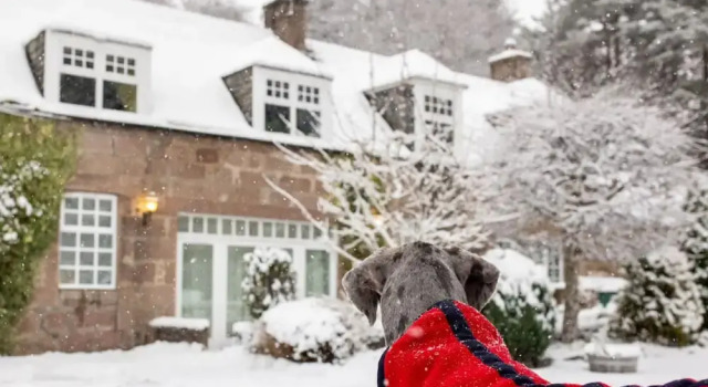 The Stables Cottage Aboyne Royal Deeside, Réserver Maison de vacances Aboyne Les Cairngorms