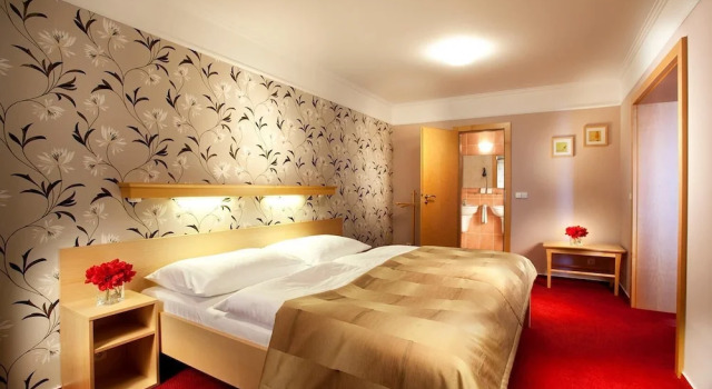 Апартаменты Hotel Akademie
