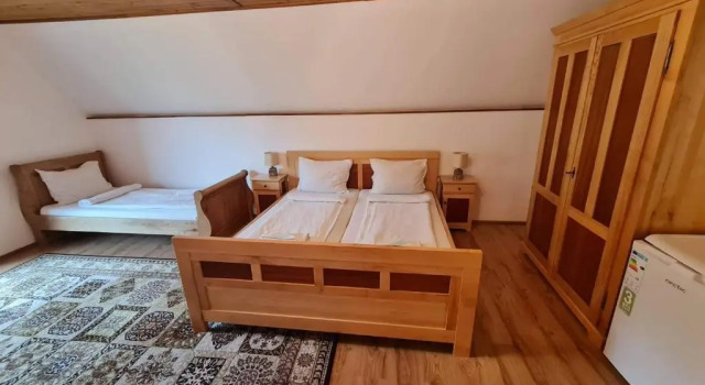 Номер Standard Pensiunea Otilia