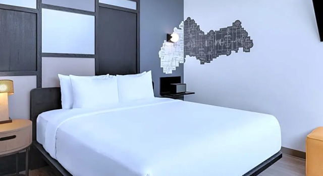 Номер Standard Aloft by Marriott Santo Domingo Piantini