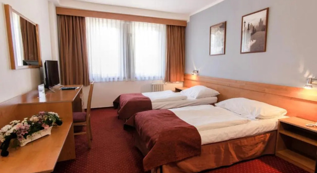 Habitación doble Estándar Hotel Globus