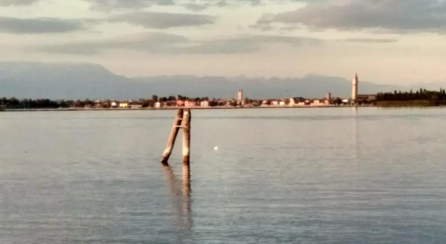 Коттедж Night Galleria - bed & art