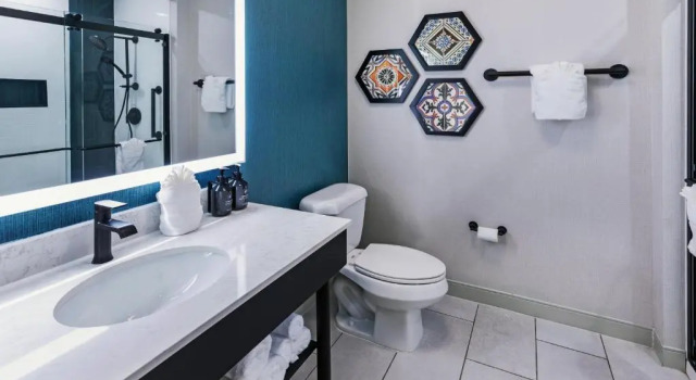 Premium pokój Hotel Indigo Spring - Woodlands Area by IHG