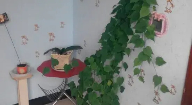 Xuanxiangyuan Farm Stay, Book Farm Stay Hotels in Liaoning with Parking, Parking