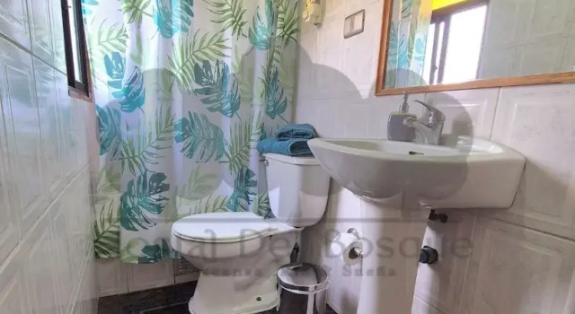Люкс Comfort Hostal del Bosque