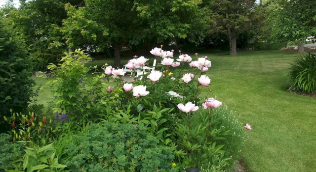 Windermere Lakeside B&B, Book Bed and Breakfast Windermere British Columbia