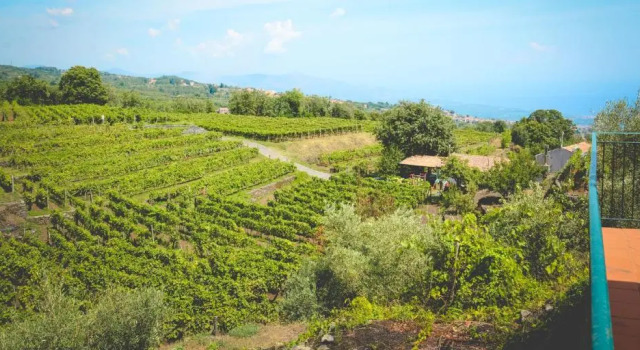 Agriturismo Le Case Del Merlo