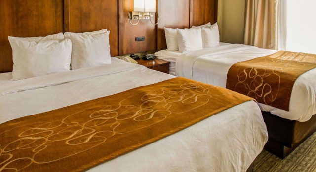 Четырёхместный люкс Comfort Suites Georgetown