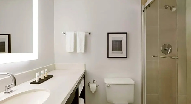 Двухместный люкс Presidential с 2 комнатами Embassy Suites Boca Raton