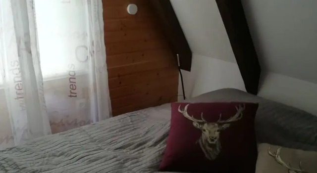 \"the Elf\" Comfortable Holiday Residence, Rezervasyon Tatil Evi Wendland villalar, Villa