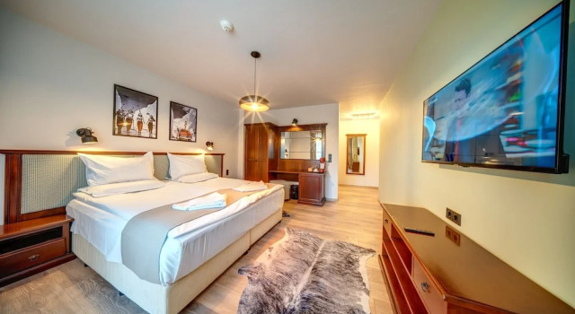 Двухместный номер Standard с балконом и с видом на горы Mountain Lake Hotel