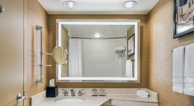Двухместный номер Deluxe с красивым видом из окна Sheraton Toronto Airport Hotel & Conference Centre