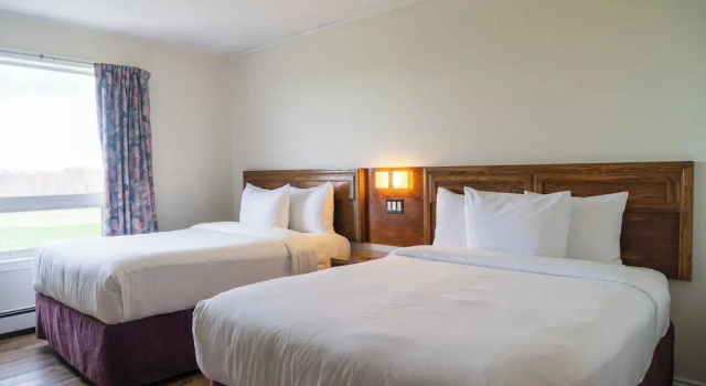 Номер Economy Dutch Inn