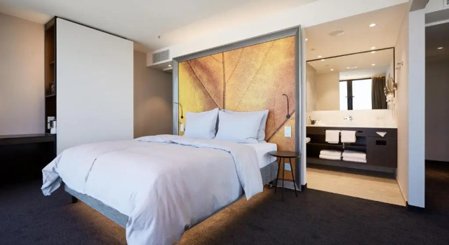 Двухместный номер Superior HYPERION Hotel Basel