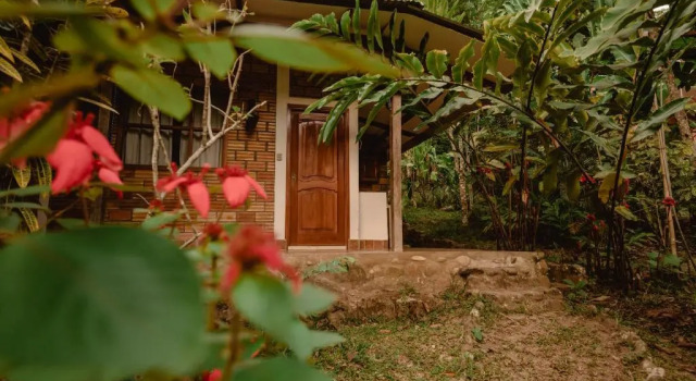 Трёхместный номер Standard Huingos Eco Lodge