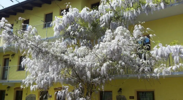 Agriturismo Tra Serra e Lago