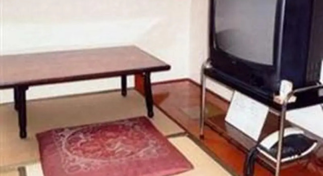 Standard Einzel Zimmer Tenryu Ryokan