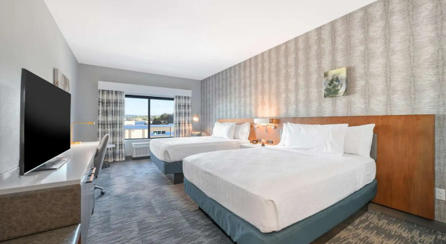 Номер Standard Hilton Garden Inn Fremont Milpitas
