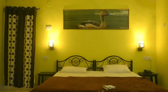 Taal Tiger Retreat