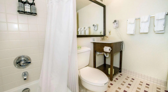 Четырёхместный номер Standard Holiday Inn Estes Park by IHG