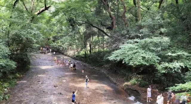 Guinange Hostel, Book Hostel / Vandrerhjem Hostels i Taizhou, Hostel / Vandrerhjem