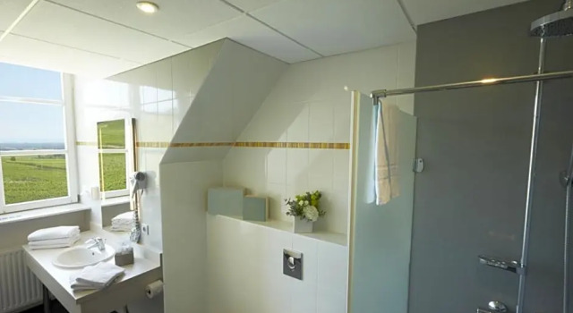 Номер Comfort Hôtel Val-Vignes Colmar Haut-Koenigsbourg, The Originals Relais