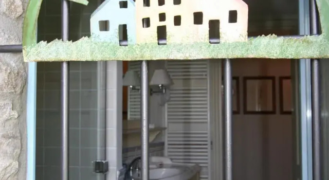 Il Pungi Topo