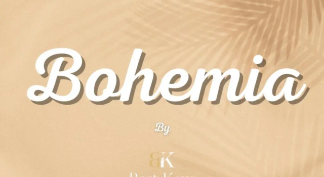 Студия Deluxe BOHEMIA Centre Ville Sens - Wifi - BEST KEYS