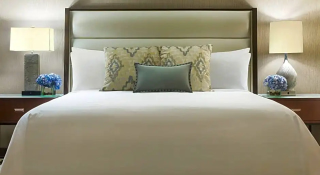 Двухместный люкс Executive c 1 комнатой JW Marriott Houston Downtown