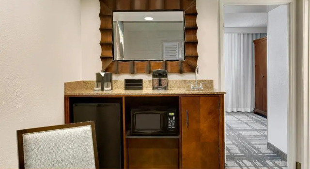 Двухместный люкс c 1 комнатой Embassy Suites by Hilton Orlando International Drive Convention Center