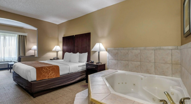 Двухместный номер Standard Comfort Suites The Colony - Plano West