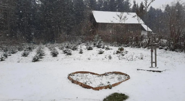Коттедж Chalet Damtschach