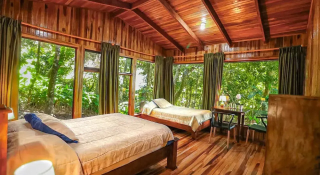 Номер Standard Hotel Flor de Bromelia