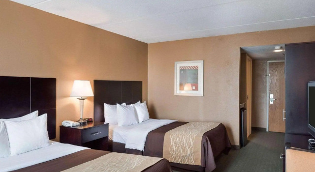 Четырёхместный номер Standard Comfort Inn Gold Coast