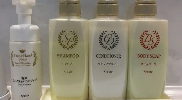 Одноместный номер Standard Shinbashi Urban Hotel