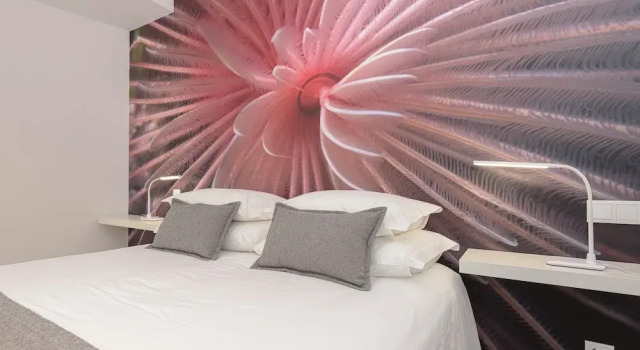 Номер Deluxe Estoril Village Guest House