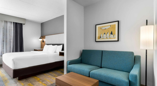 Двухместный номер Standard Comfort Inn & Suites York North