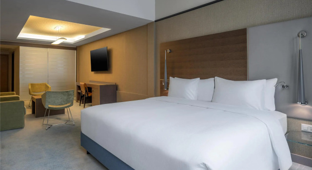 Полулюкс Hilton Geneva Hotel and Conference Centre