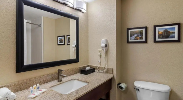 Номер Standard Comfort Suites Woodstock - Atlanta North