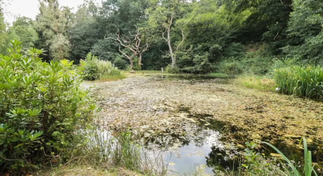 Kingfisher, Rezervați Hotel Hoteluri în Yorkshire Moors cu parcare, Parcare
