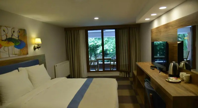 Номер Standard с балконом Feel & Live Hotel Villas Restaurant Sapanca